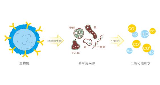 光觸媒除甲醛和生物酶除甲醛區(qū)別